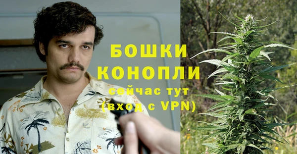 первитин Гвардейск