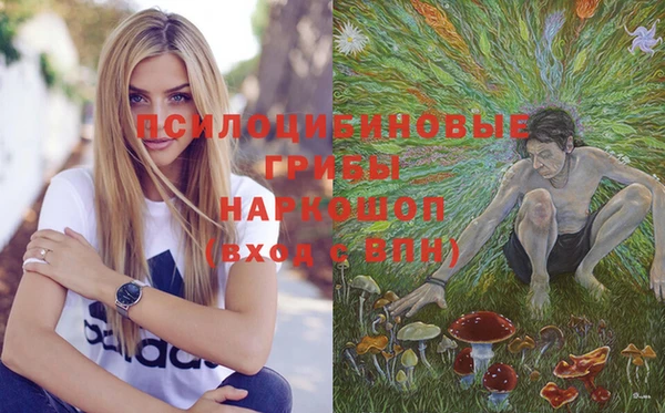 apvp Гатчина