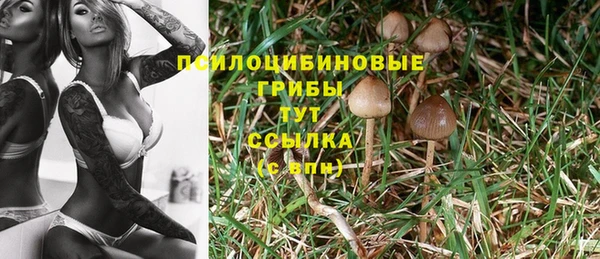 кокаин колумбия Алексин