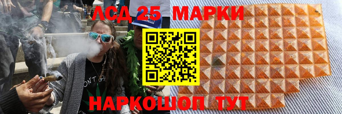 Наркотические марки 1500мкг Лесной