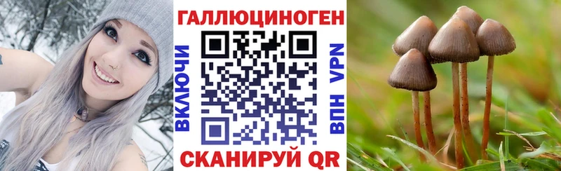 Галлюциногенные грибы Cubensis  Лесной 